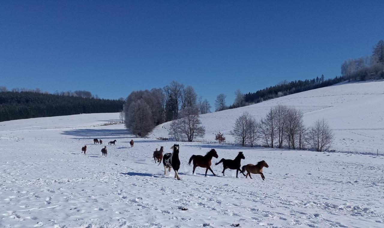 Lidmiluv Mlyn Hotel Sadek Exterior foto